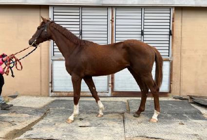 ��Ŭ�ε� ����