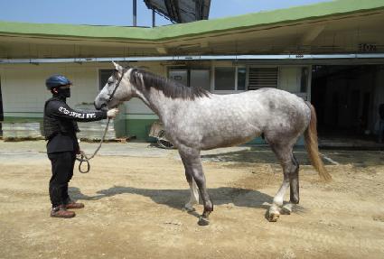 ����Ʈ���̽� ����