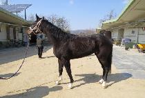 ���̽��� (CHOICEFUL) ����