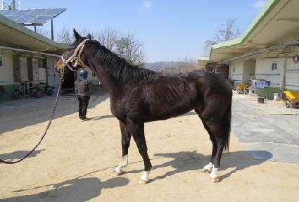 ���̽��� ����