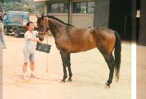 ���� (MAN NAM) ����