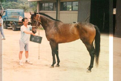 ���� ����