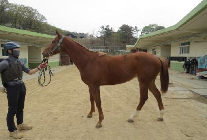 �Ⱦ��� ����