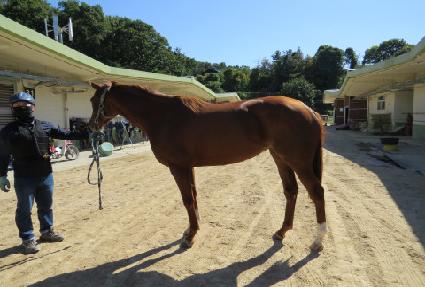 ��� ����