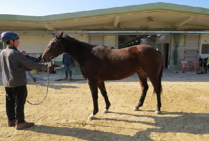 ���갭���� ����