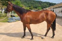 �������� (TWOTWO PERFOR) ����