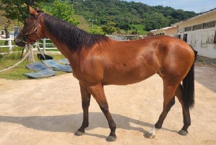 �������� ����