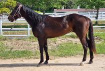 �ϴ���ǳ (HANEUL POKPUNG) ����