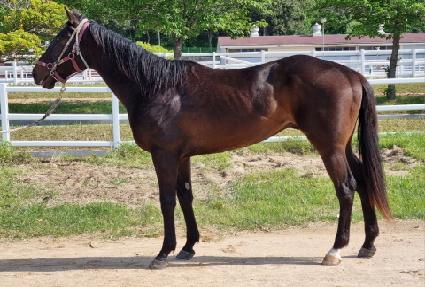 �ϴ���ǳ ����