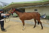 �̽����̸ӽ� (MISS FAMOUS) ����