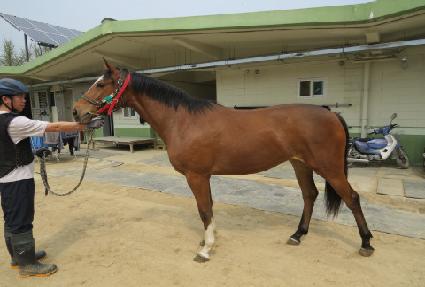 �̽����̸ӽ� ����