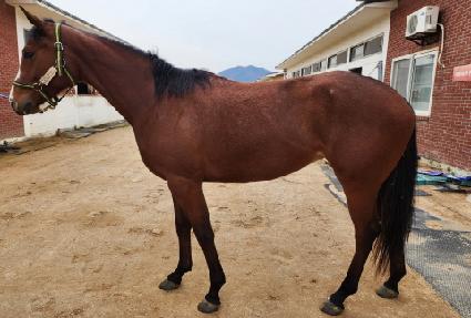 ������������ ����