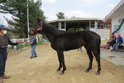 �������þ� ����