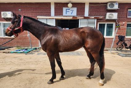 �ƽ��� ����