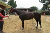 ���ĳó (GOLD CATCHER) ����