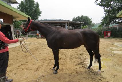 ���ĳó ����