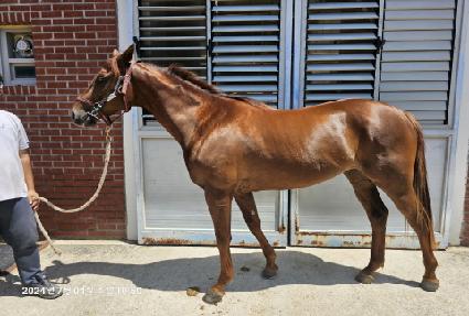 �긮������Ʈ ����