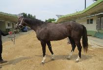 ���ø�Ʈ���� (COMPLETE TOUGH) ����