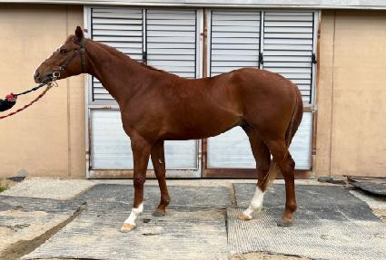 �ö���è�Ǿ� ����