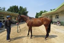 ŷ������� (KING OF WORLD) ����