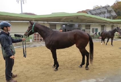 �ǿ�������Ʈ ����