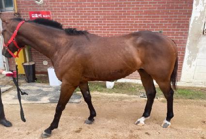 �ͺ�Ÿ�� ����