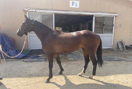 ���̿��Ÿ ����