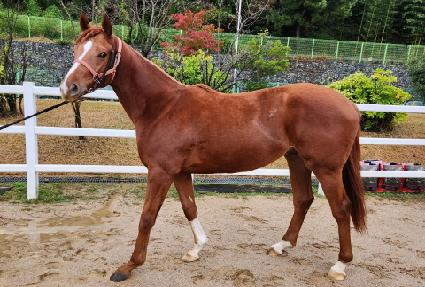 �ְ����̽� ����