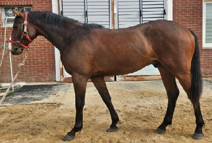 ��Ŭ�� ����