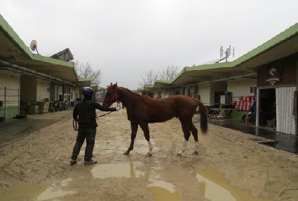 Ȳ�ݸ���ũ ����