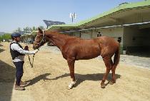 ����Ŭ���� (HIGH CLASS) ����