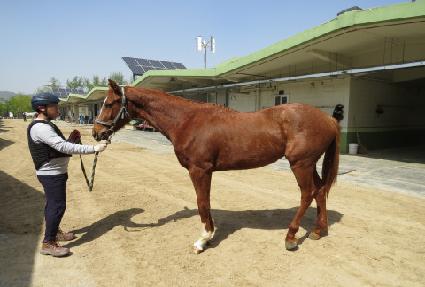 ����Ŭ���� ����