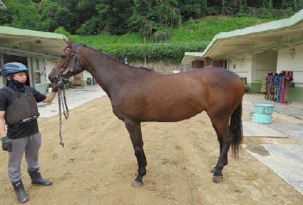 ���ǵ巹���� ����