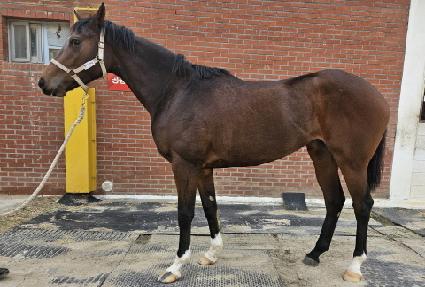 ���̳ξ��� ����