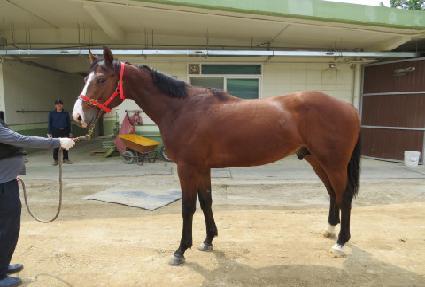 �����屺 ����