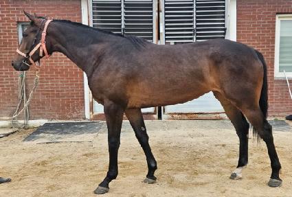 ������Ƽ�� ����