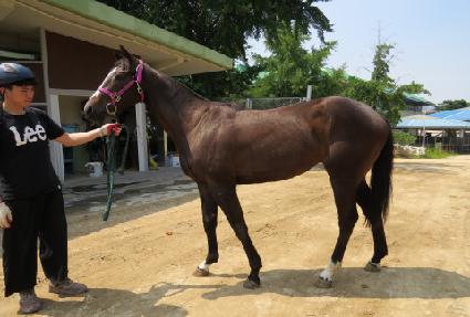 �μտ��� ����