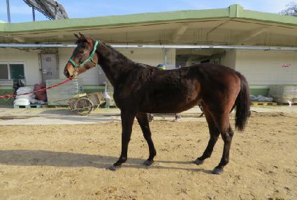 ���ε� ����