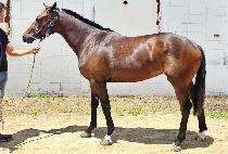 ��ſ�� (JEULGEOUN DAY) ����