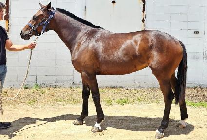 ��ſ�� ����