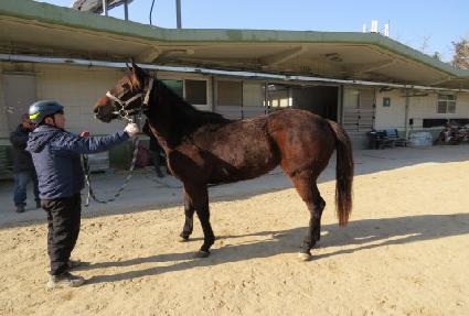 �ǿ��������� ����