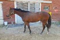 ��������ũ (TOP OF THE RANK) ����