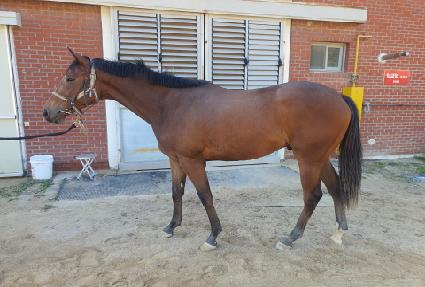 ��������ũ ����