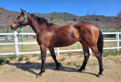 ���ƽý����� ����