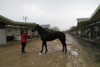 ������Ŀ ����