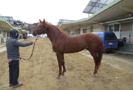 �ǿ��������� ����