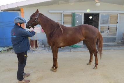 �ǿ��������� ����