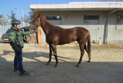 �ǿ�������Ƽ ����