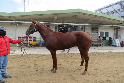 �ǿ������ù� ����