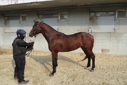 �ǿ�����Ʈ�� ����